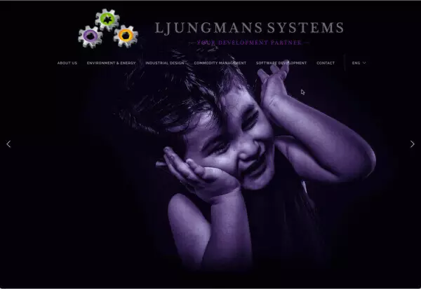 Ljungmans Systems